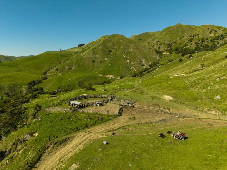 Matawai Station, 772 Oliver Road Matawai_6