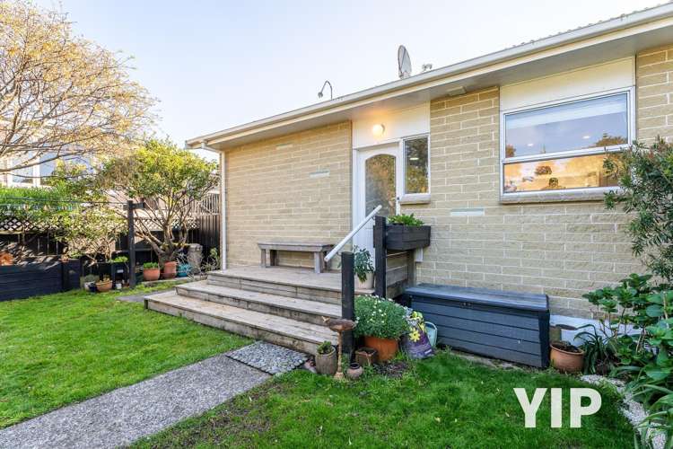 1/31A Ventnor Street_0