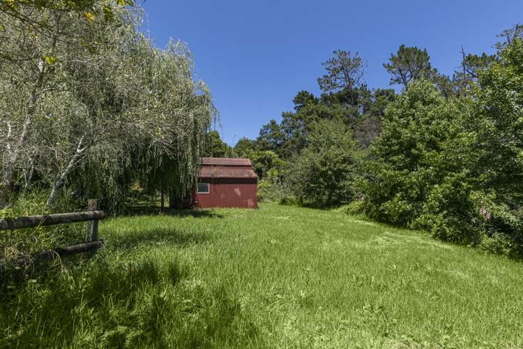 114 Upper Harbour Drive Greenhithe_9