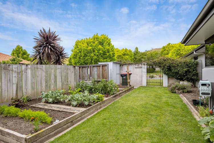 38 Elmwood Avenue Witherlea_23