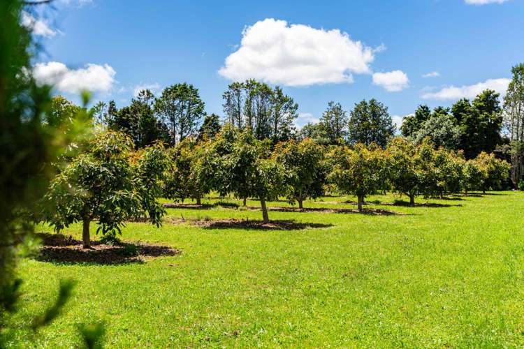 146 Bint Road Maungakaramea_8