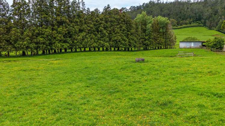 214 Puketui Valley Road Hikuai_8