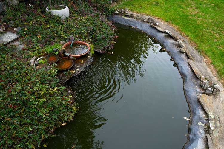 133 Mangaroa Valley Road Mangaroa_34