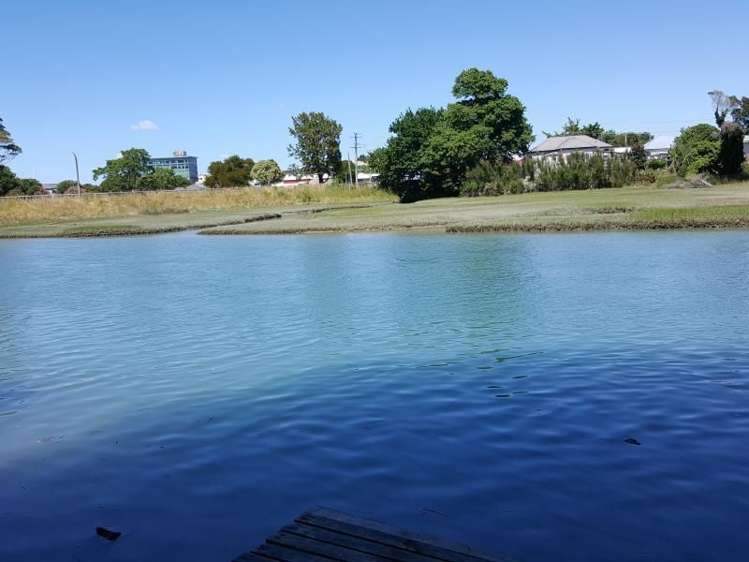 56 Stout Street Whataupoko_18