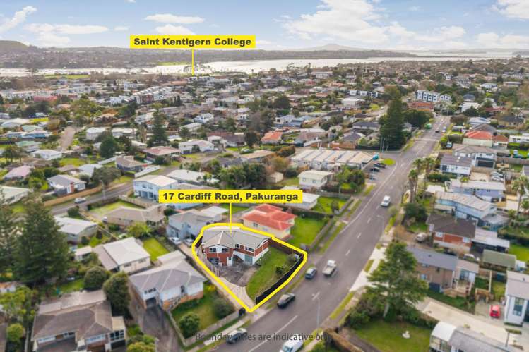 17 Cardiff Road Pakuranga_20