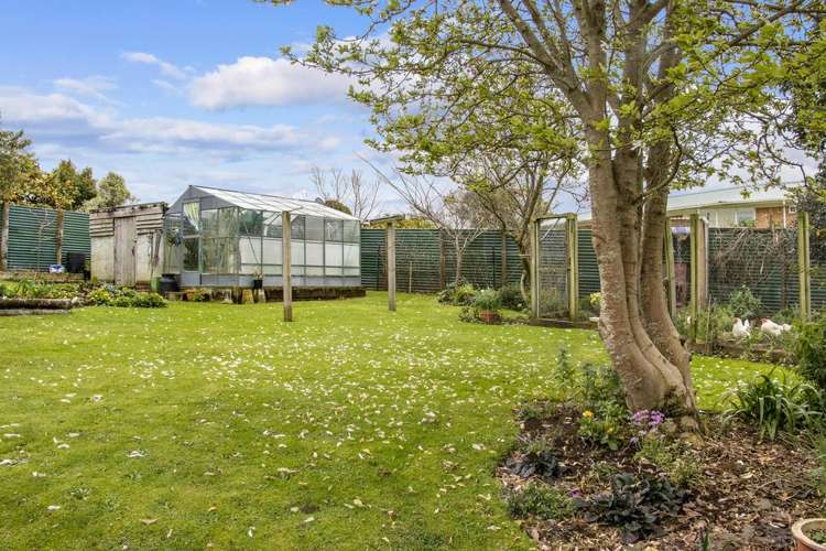 14 Amaranth Street Waihi_17