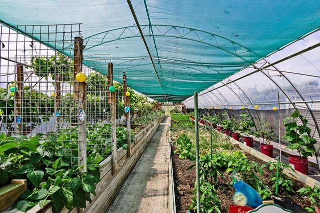 78 East Road Ascot_4