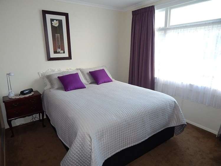 23 Greenfield Street Hector_10