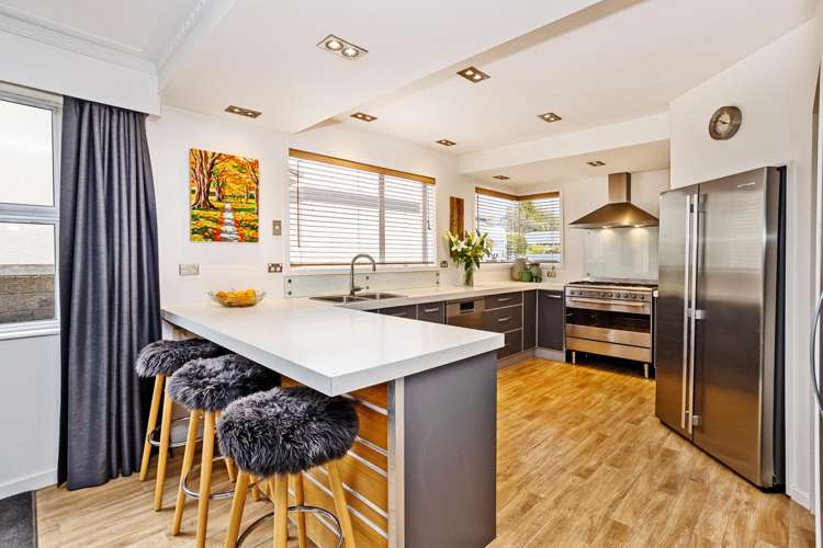 278 Chelmsford Street Waverley_7