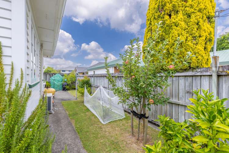 18 Pearsons Avenue Claudelands_23