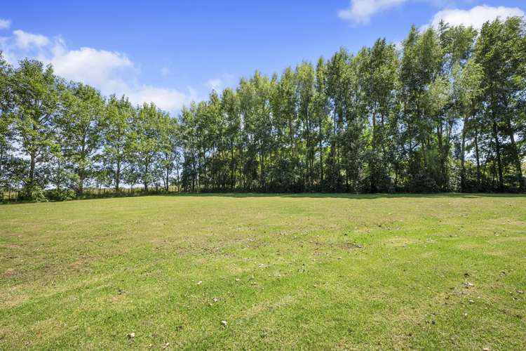 295 Postman Road Dairy Flat_4