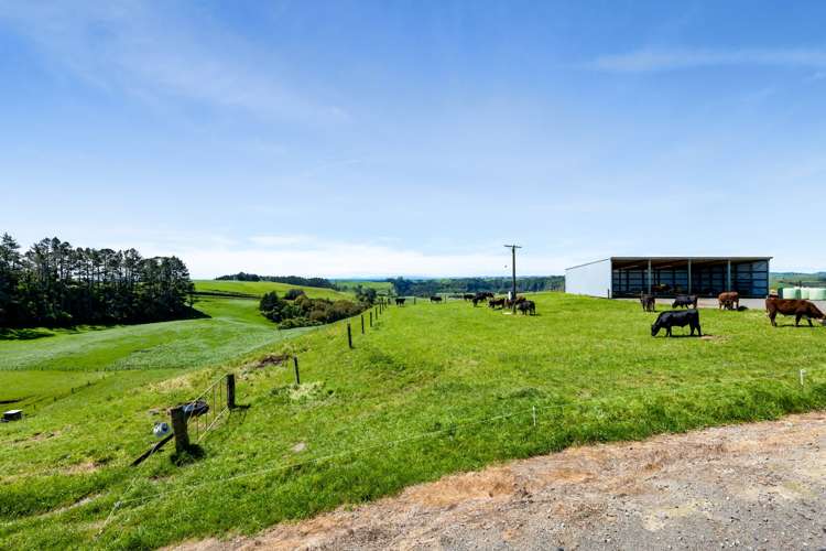 31 Clarke Road Huirangi_23