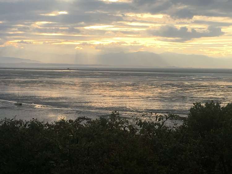 444 Atawhai Drive Atawhai_20