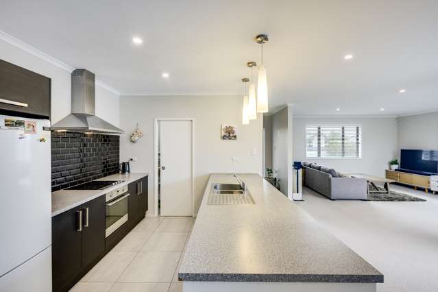 15 Onyx Place Te Awa_2