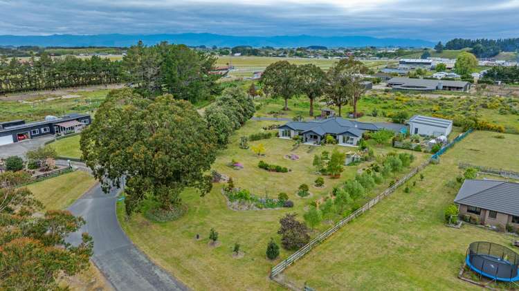 63 Bergin Road Foxton_34