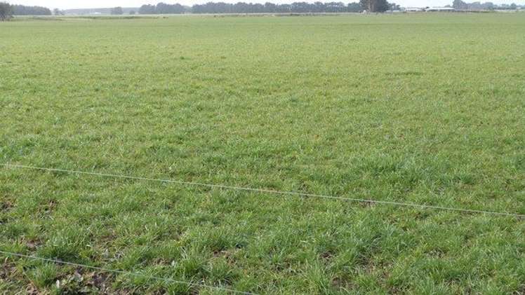 45 Tiwai Road Woodend_4