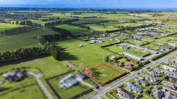 84 Manse Road Pleasant Point_9