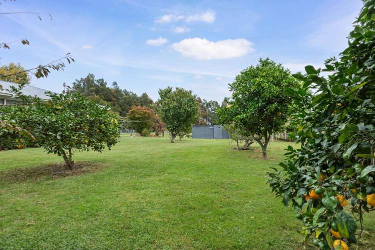 141 Centennial Avenue Te Aroha_19