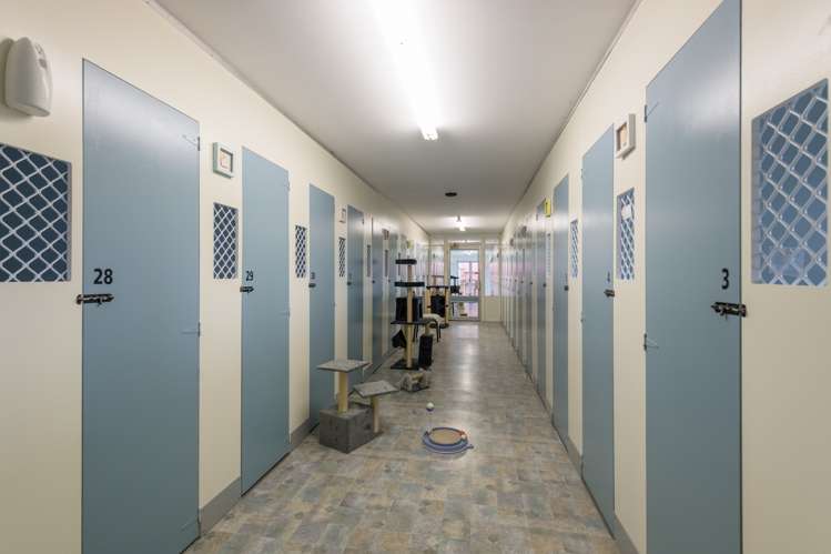 138 White Road Hope_14