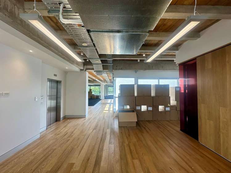 7 Falcon Street Parnell_5