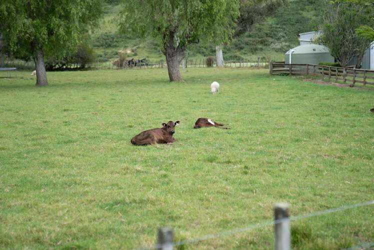 70 Waihora Road Riversdale Beach_41