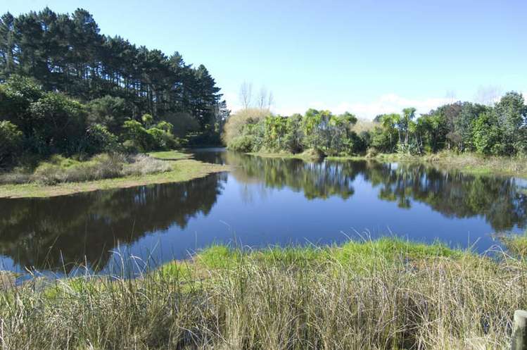 901 South Head Road South Head_13