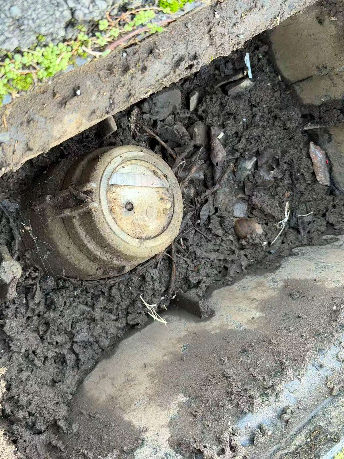 77A Reihana Street_4