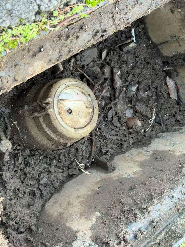 77A Reihana Street Orakei_8