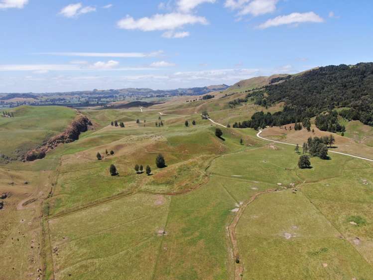 Kahuwera Road Piopio_4