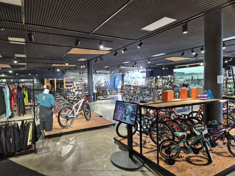 181 Vivian Street Te Aro_6