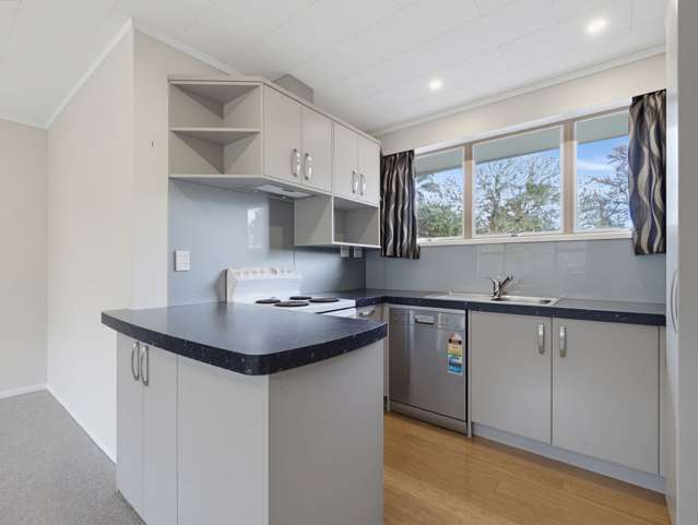 48A Domain Road Whakatane_2