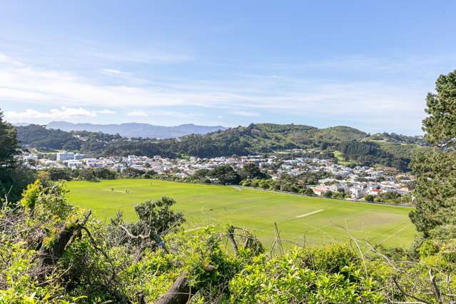 64b Balfour Street Mornington_4