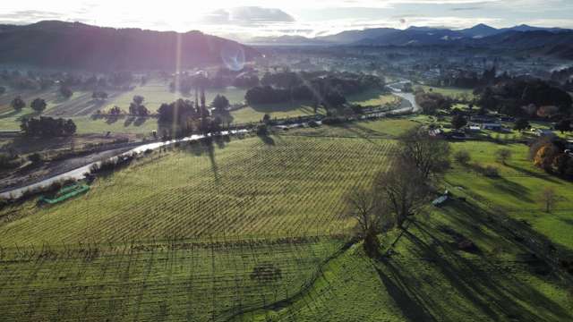 Town meets country – prime horticultural land