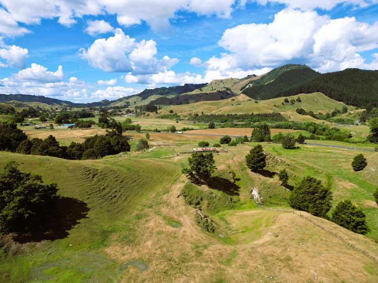 5484 State Highway 4 Ongarue_12