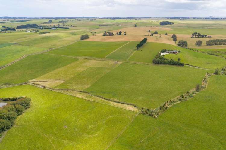 1850 Wellington Road Marton_4