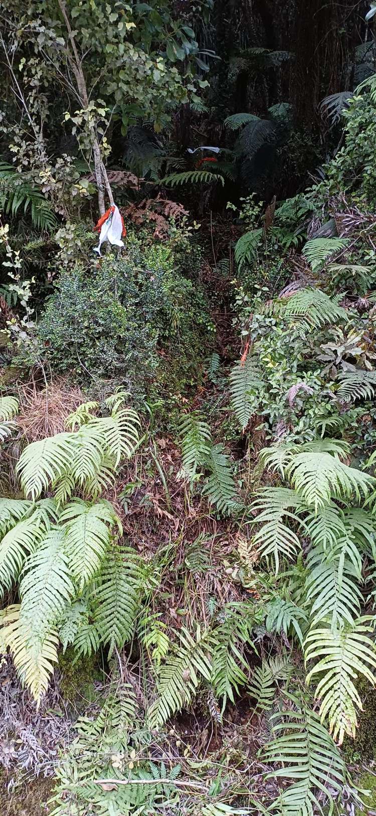 Ballarat Rise Awatuna_10