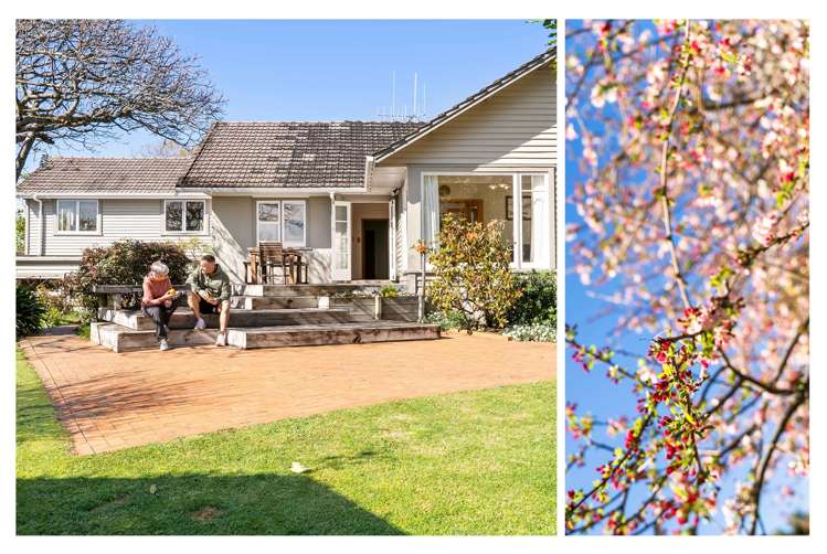 34 Poike Road Hairini_26