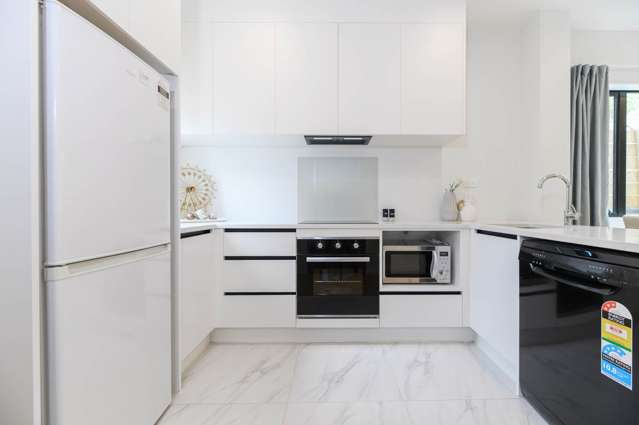 24F Boyce Avenue Mt Roskill_4
