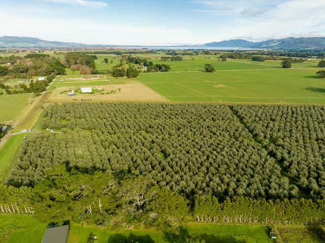 Lot 2/224 State Highway 53 Featherston_3