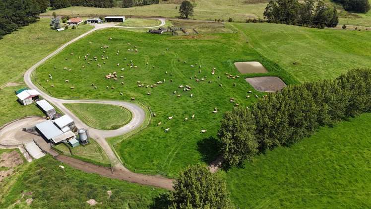 374 Rakauwahia Road Taheke_7