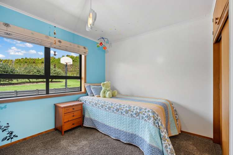126A Apotu Road Kauri_13