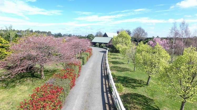 263 Oxford Road Fernside_12