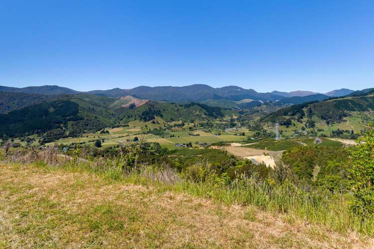 Cable Bay Road Hira_24