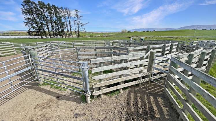 51 Saint Bathans Loop Road Becks_14