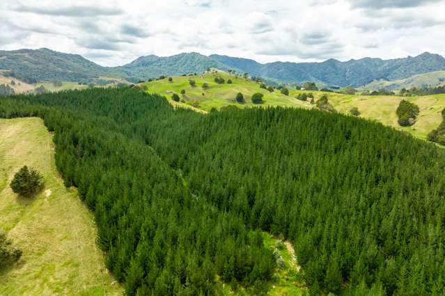 2174 Omana Road Tangiteroria_2