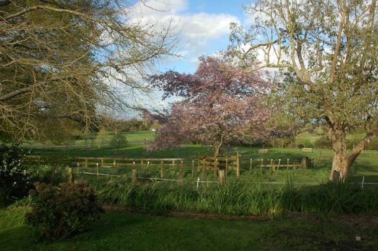 374 Kuranui Road Morrinsville_15