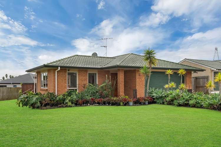 46 Medvale Avenue Flat Bush_27