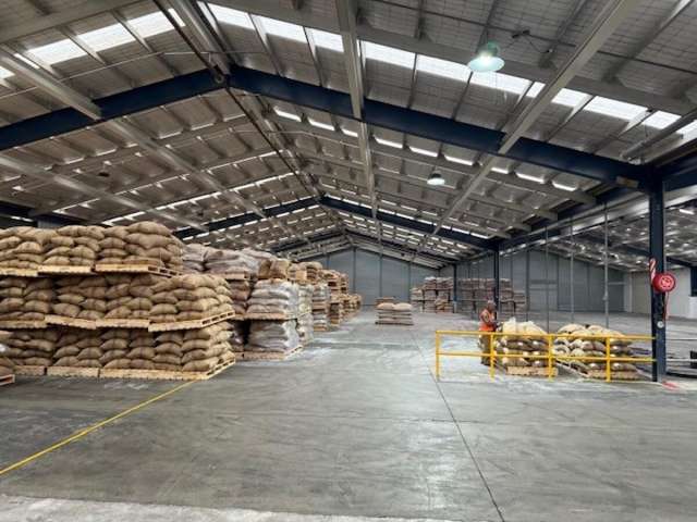 109 Port Road Seaview_3