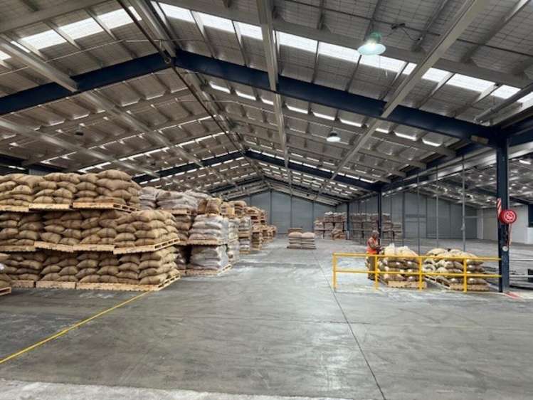 109 Port Road Seaview_3