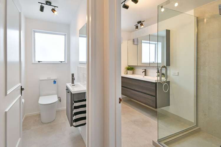 16 Mcalister Place Mount Roskill_8